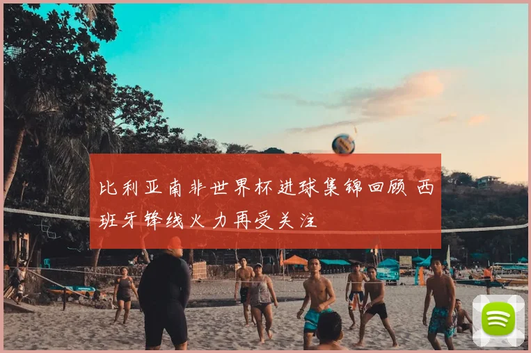 比利亚南非世界杯进球集锦回顾 西班牙锋线火力再受关注