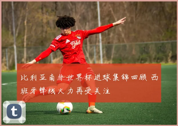 比利亚南非世界杯进球集锦回顾 西班牙锋线火力再受关注