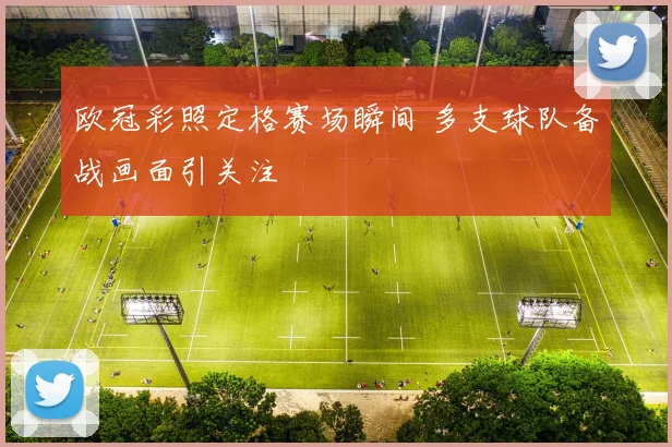 欧冠彩照定格赛场瞬间 多支球队备战画面引关注