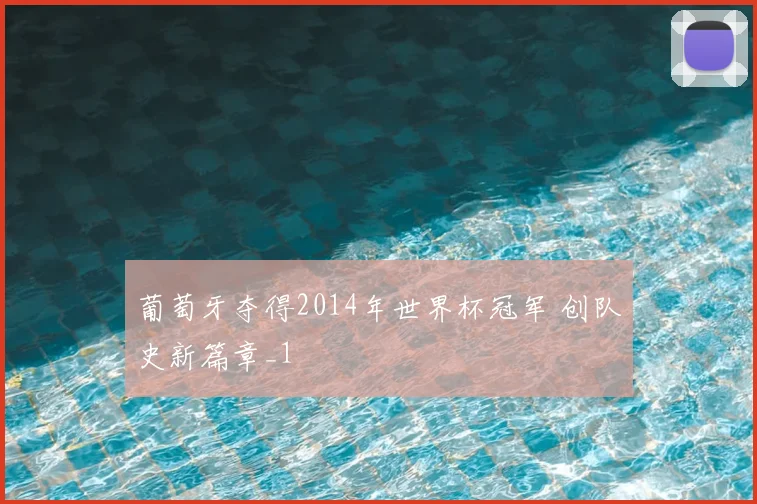 葡萄牙夺得2014年世界杯冠军 创队史新篇章_1