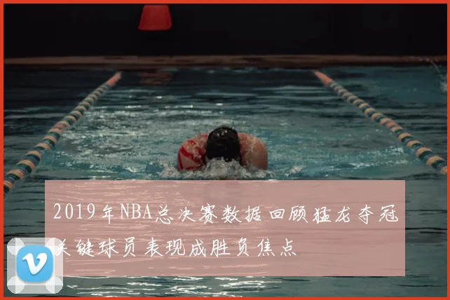2019年NBA总决赛数据回顾猛龙夺冠关键球员表现成胜负焦点