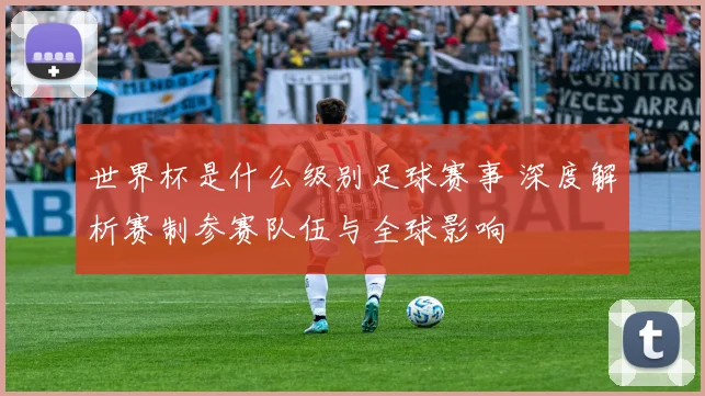 世界杯是什么级别足球赛事 深度解析赛制参赛队伍与全球影响