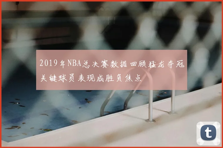 2019年NBA总决赛数据回顾猛龙夺冠关键球员表现成胜负焦点