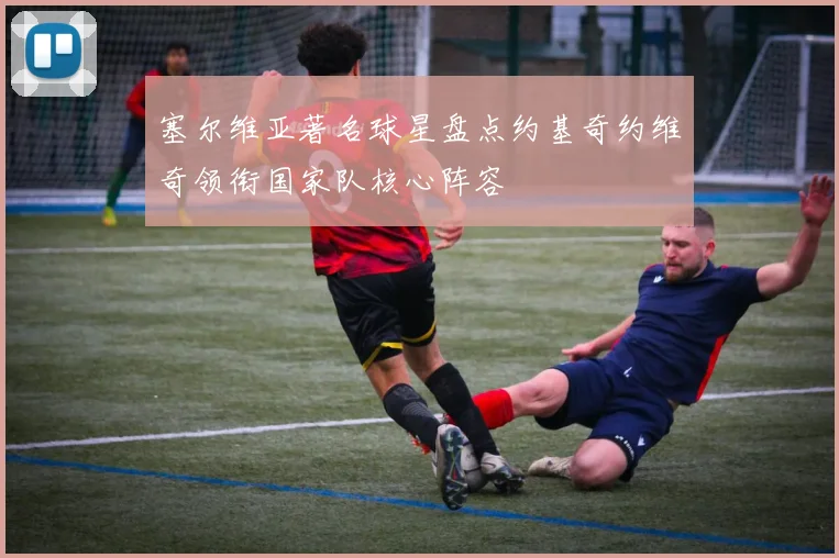 塞尔维亚著名球星盘点约基奇约维奇领衔国家队核心阵容