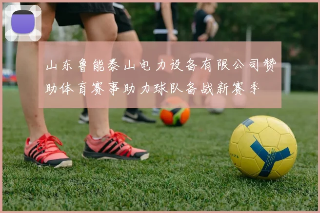 山东鲁能泰山电力设备有限公司赞助体育赛事助力球队备战新赛季