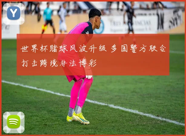世界杯赌球风波升级 多国警方联合打击跨境非法博彩