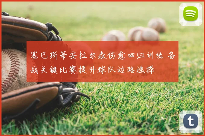 塞巴斯蒂安拉尔森伤愈回归训练 备战关键比赛提升球队边路选择