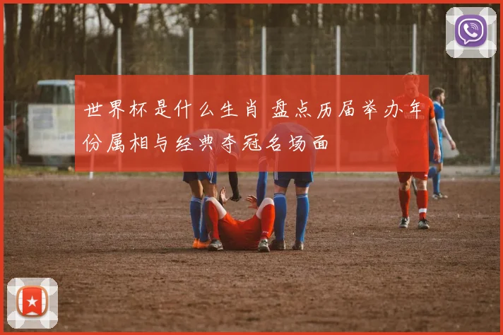 世界杯是什么生肖 盘点历届举办年份属相与经典夺冠名场面